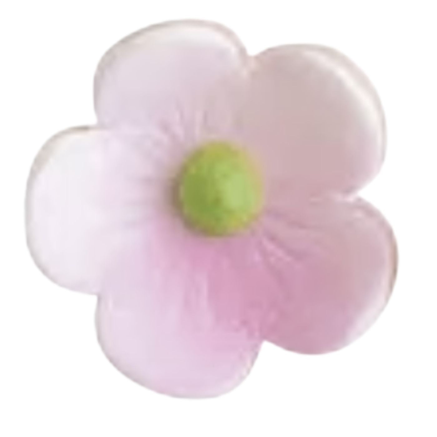 Sykurblóm - Skógarblóm - 25 mm - 9 stk - Bleik