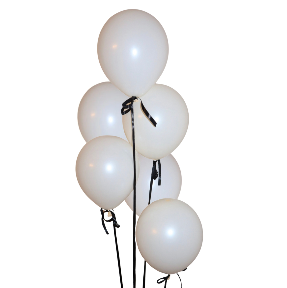 Helíum blöðrubúnt - Off white blöðrur með svörtum slaufum - 6 stk