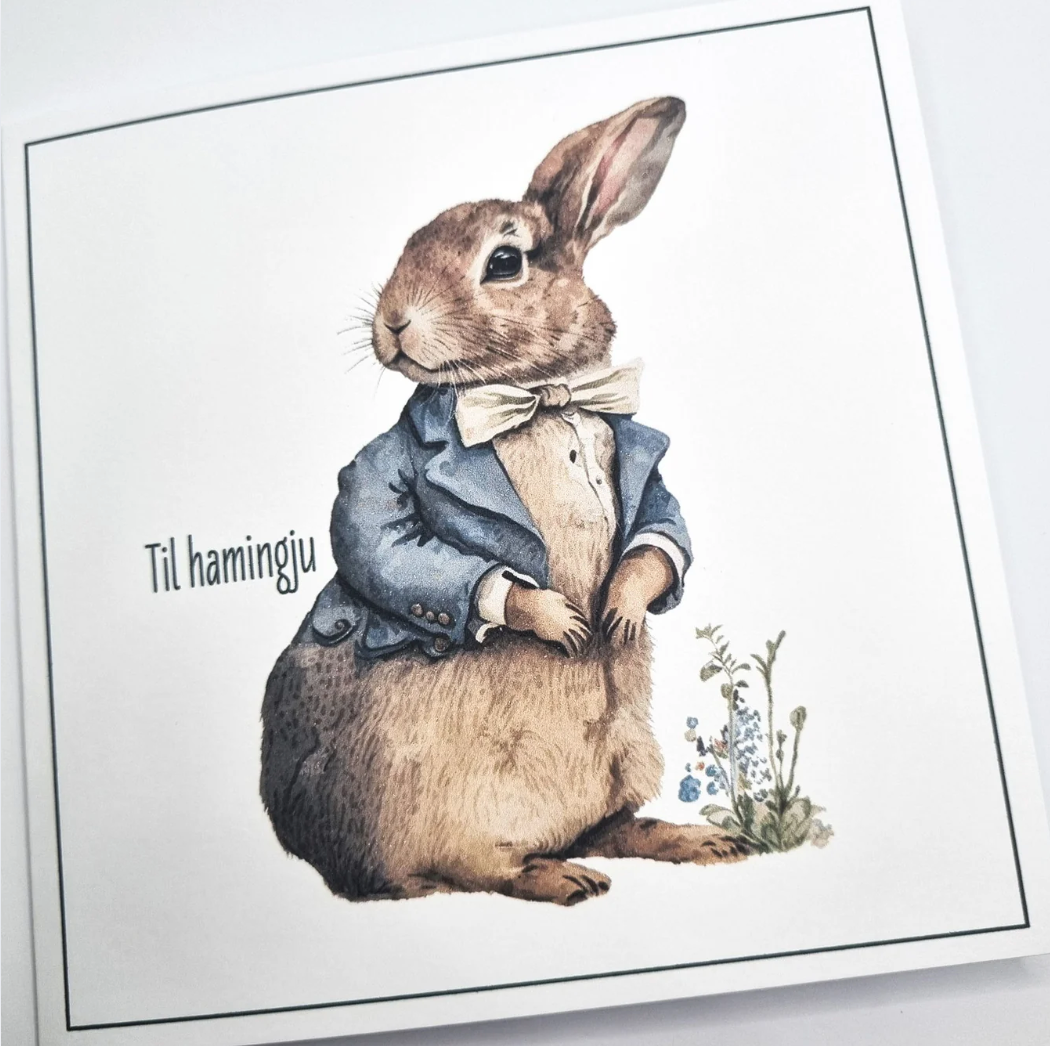 Kort - Kanínustrákur - Til hamingju
